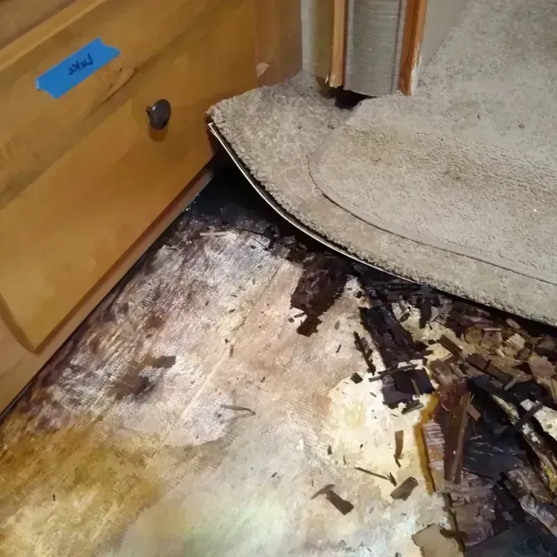 Wood Floor Water Damage in Danielsville, GA